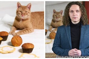 Кошечка с кексиками