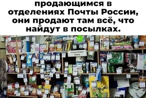 Скрины из соцсетей