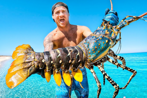 Всё вразнобой 