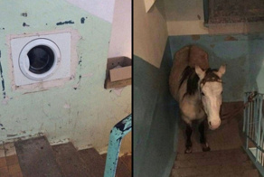 20 примеров ошеломляющих подъездов, ситуация в которых, к счастью, не является обычной