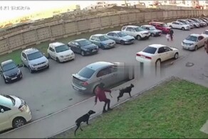 На Алтае доберманы набросились на мужчину с маленькой собачкой: у пенсионера треснула кость