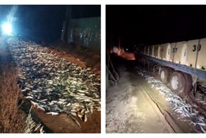Грузовик застрял в селёдке