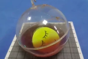 Мужчина засунул в себя детскую игрушку