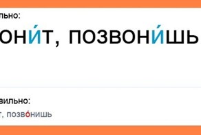 Последние времена настают: ударение в слове «звонит» вскоре изменится и будет падать на первый слог