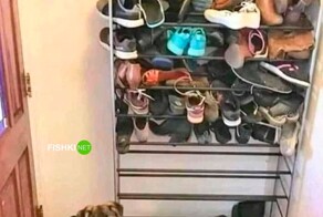 Скрины из соцсетей