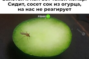 Продолжаем барражировать соцсети