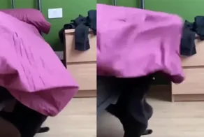 Кот запутался в простыне