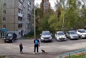 Женщина несколько раз ударила свою собаку из-за пролитого кофе