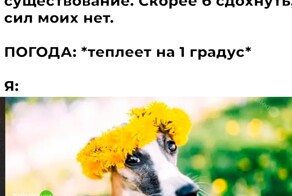 Смешные картинки