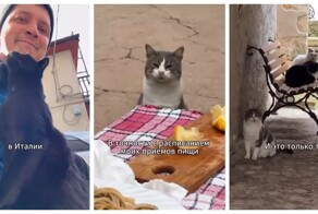 Мужчина купил дом в Италии и в качестве подарка получил местных деревенских котов