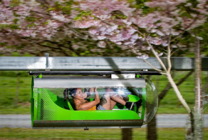 Необычный монорельс в Новой Зеландии