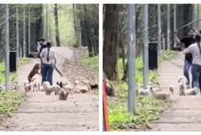 Конфликт двух любителей собак в Казани