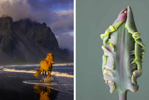 20 фотографий природы, удостоенных наград на церемонии Fine Art Photography Awards 2025
