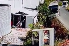 В Турции перевернулся автобус с российскими туристами