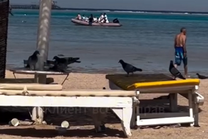 Российских туристов заселили в заброшенный отель по пятизвездочному туру в Египте