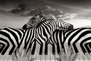 Уникальные сюрреалистичные фотографии (14 фото)