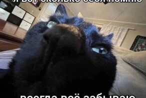 Ученые выяснили, что СДВГшники живут меньше
