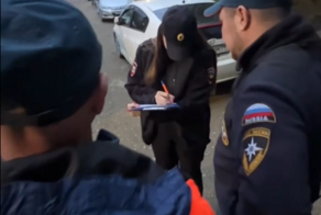 В Биробиджане кот попытался избавиться от хозяек, но помешало МЧС