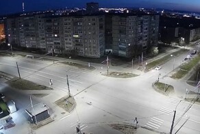 Идиот года