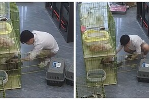 Эту битву он проиграл