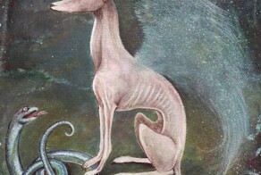 Святой Гинфорт: пёс, которого почитали как святого