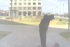 Камера сняла, как нижегородец пнул своего пса