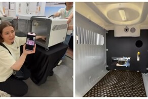 В Китае придумали переноску с камерой, GPS, вентиляцией и освещением