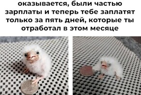 Не ищите здесь смысл. Здесь в основном маразм