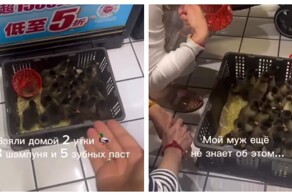 Необычный маркетинговый ход в китайском магазине