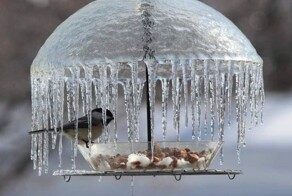 Всё вразнобой&nbsp;