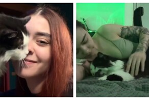 Кошка завела себе человека