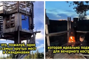 Вращающийся домик на дереве посреди леса