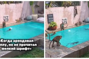 На Шри-Ланке туристы арендовали виллу с «сюрпризом»