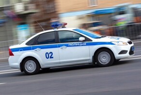 В Каменске-Уральском женщина натравила бойцовых псов на мужчину и поплатилась