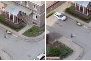 Мальчик раскрутил свою собаку на поводке