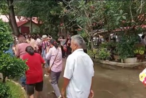 Пчелы изжалили 30 участников религиозной церемонии около храма