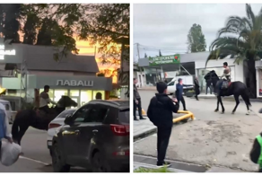 Неадекватный “скакун” устроил шоу в Сочи