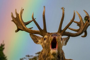 На общую тему&nbsp;