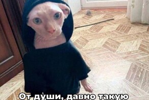 Намешалось