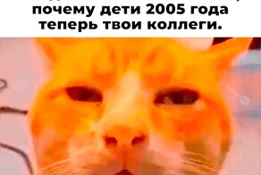 Не ищите здесь смысл. Здесь в основном маразм