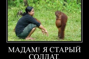 Всяко-разно в понедельник