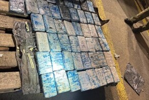 В петербургском порту таможенники обнаружили кокаин на полмиллиарда рублей