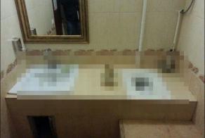 Уникальный туалет (1 фото)