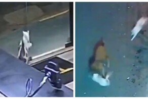 Настоящие герои не носят плащи