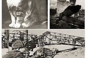 Кот Рыжик - артиллерист