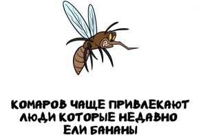 А вдруг ты не знал…