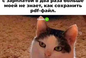 Не ищите здесь смысл. Здесь в основном маразм