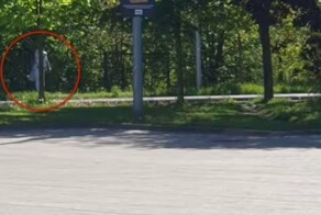 Воровка года