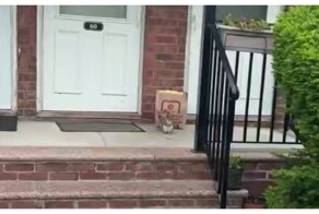 Белка решила полакомиться едой мужчины