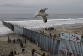 В США решили запустить особое реалити-шоу с участием нелегалов